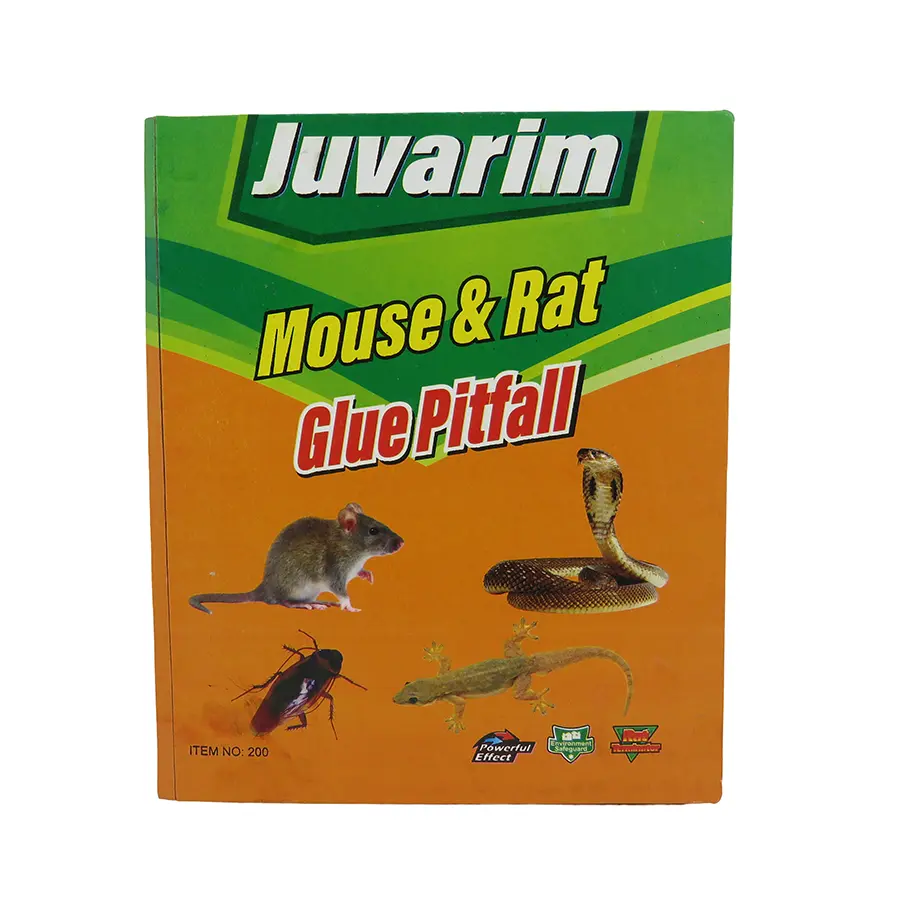 چسب موش بزرگ ایرانی