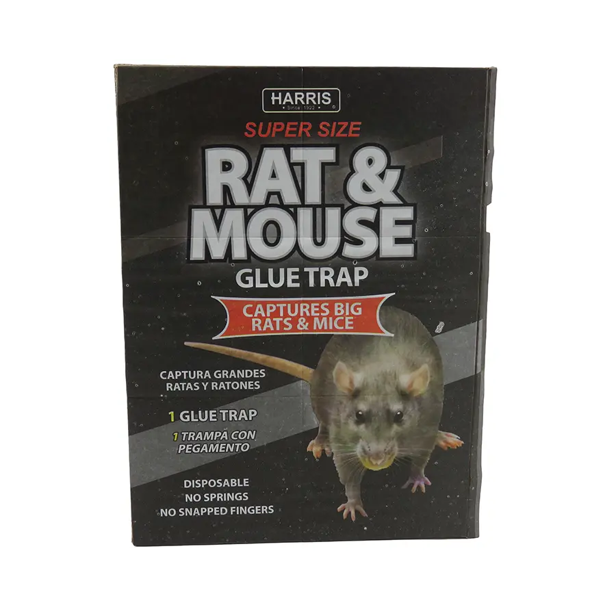 چسب موش کتابی صادرارتی